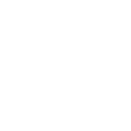 Download Icon